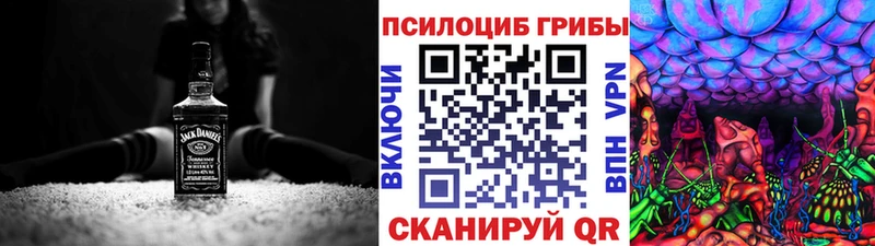 Псилоцибиновые грибы GOLDEN TEACHER  продажа наркотиков  площадка состав  Черногорск 