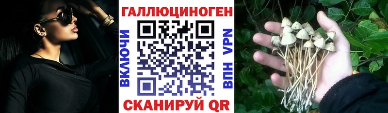 Галлюциногенные грибы мухоморы Черногорск